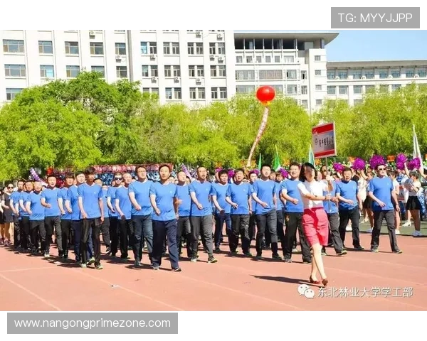 重庆超级联赛全景揭秘各队风采与潜力对比分析